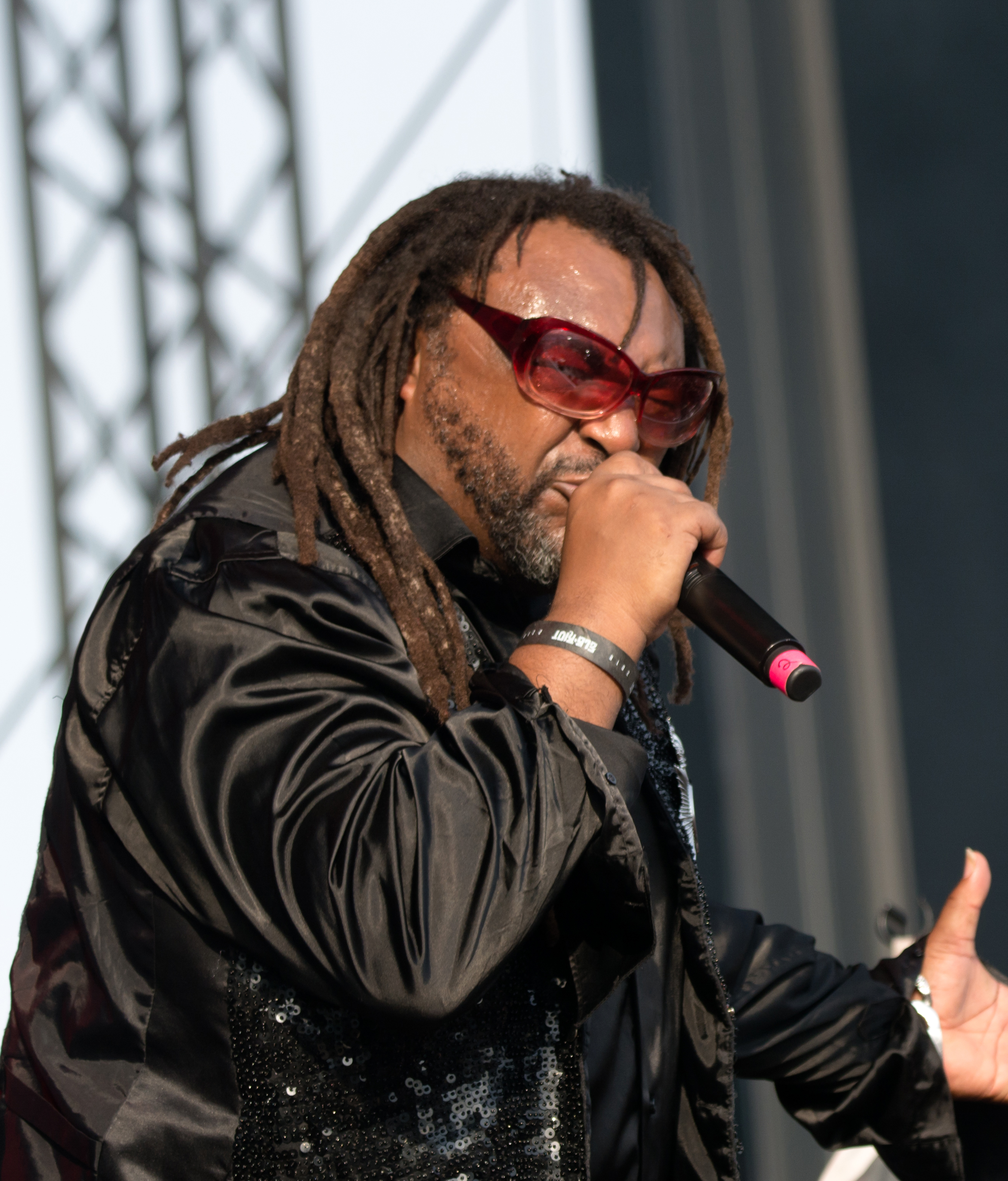 Skindred