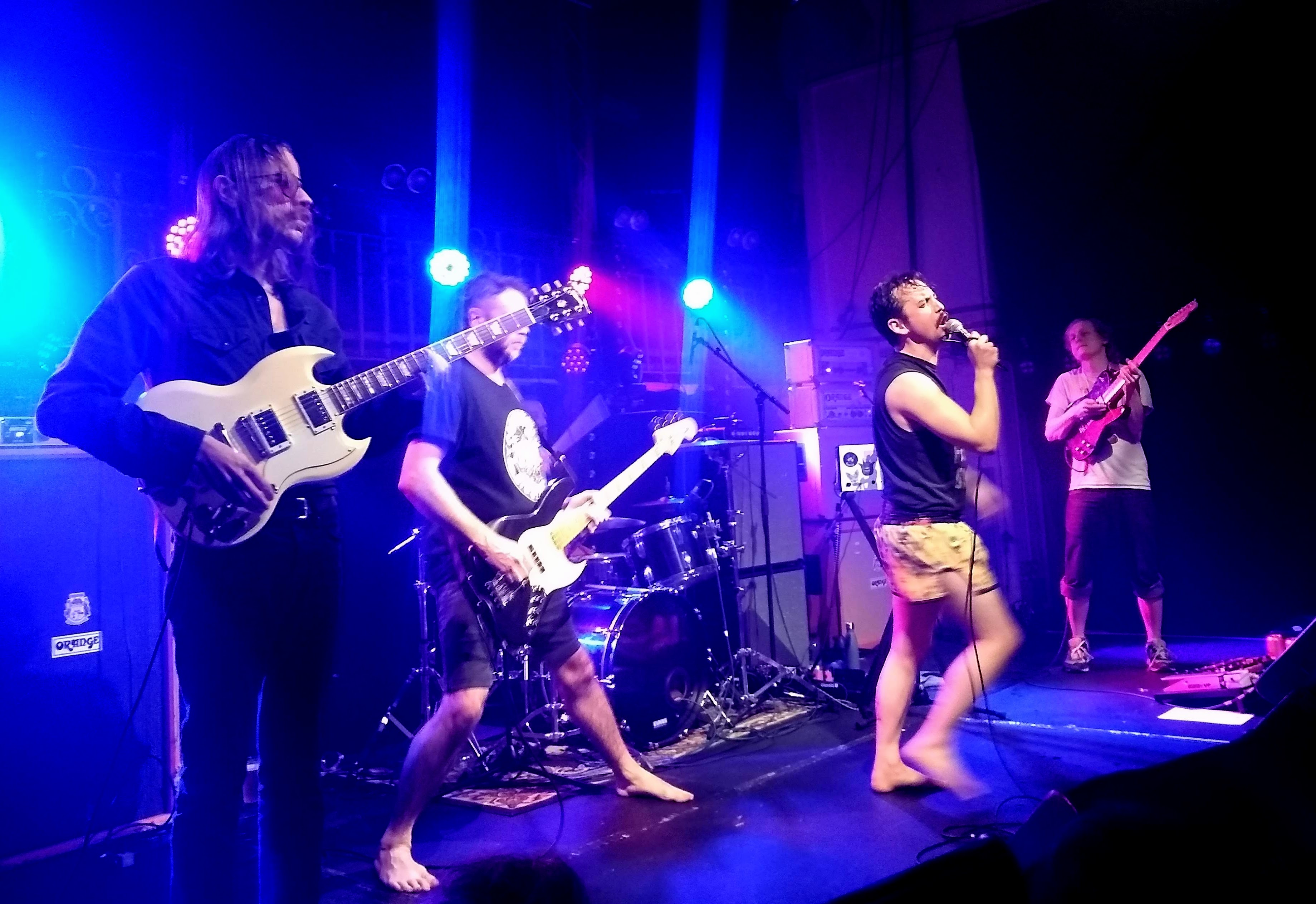 Pigs Pigs Pigs Pigs Pigs Pigs Pigs