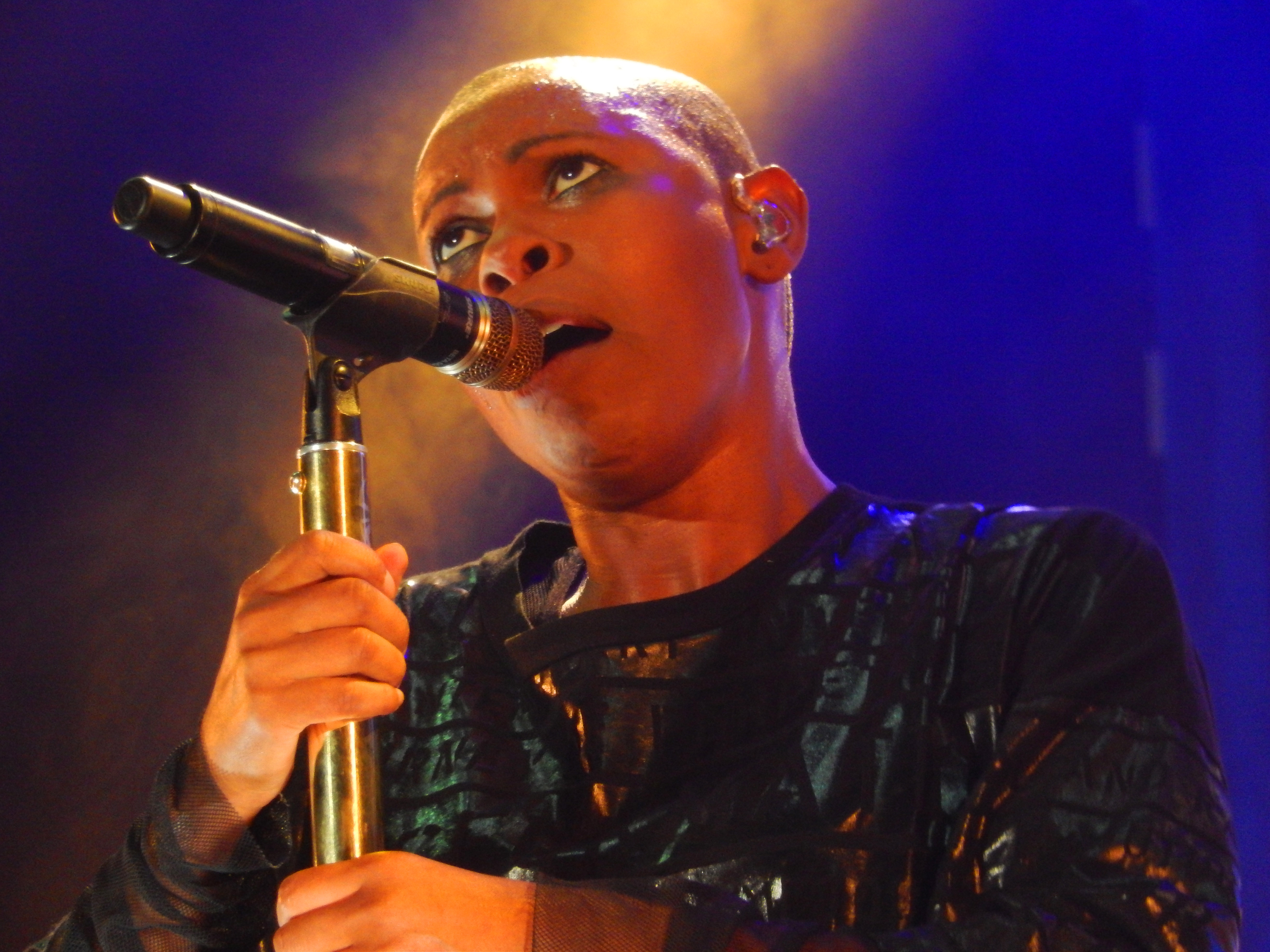 Skunk Anansie